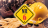 NR 06